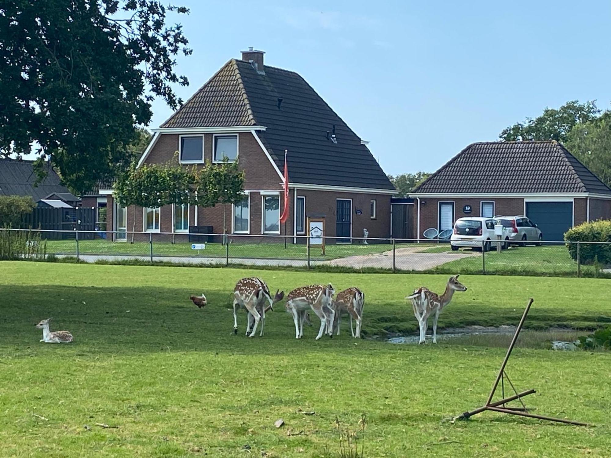 Bed and Breakfast Landelijk Hijken Exteriér fotografie